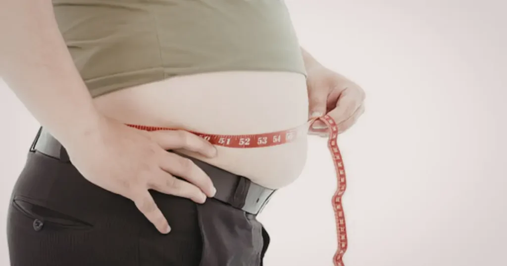 BMI Calculator With Body Fat Percentage Option Guide